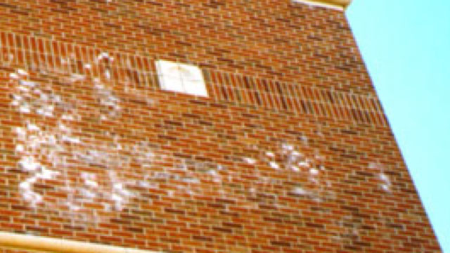 Efflorescence: Understanding Efflorescence